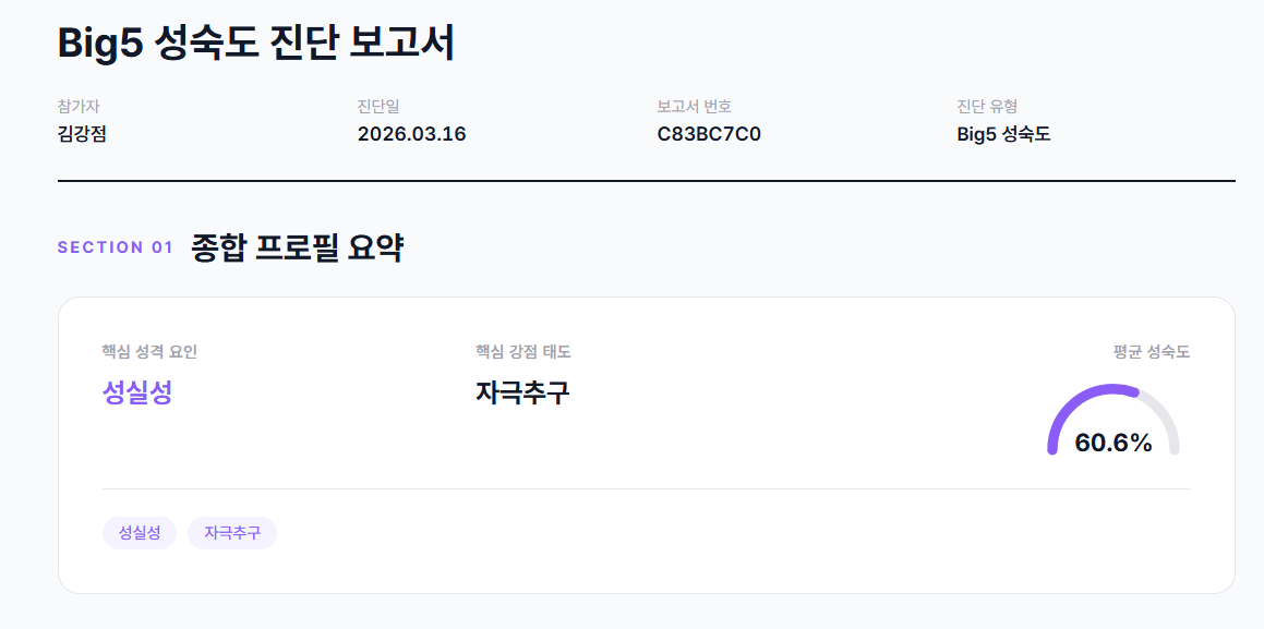 핵심 요인 심층 분석 - 성실성 카드
